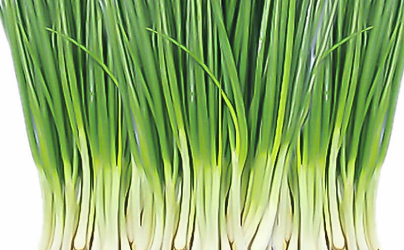 Phòng ngừa bệnh tiểu đường Lối sống lành mạnh và các biện pháp dự phòng