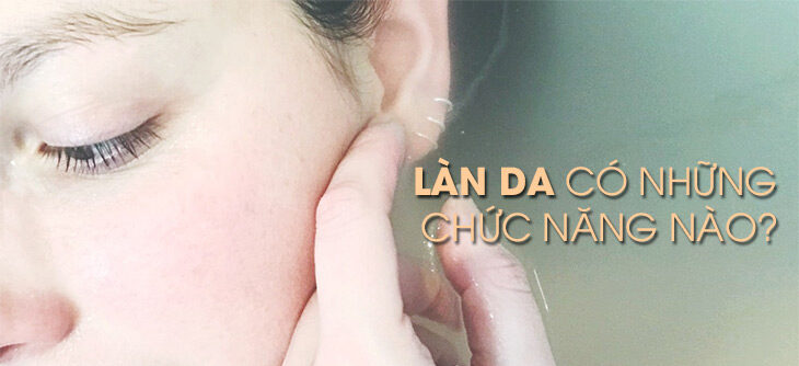 Làn Da Có Nhiều Tác Dụng Bảo Vệ Cơ Thể