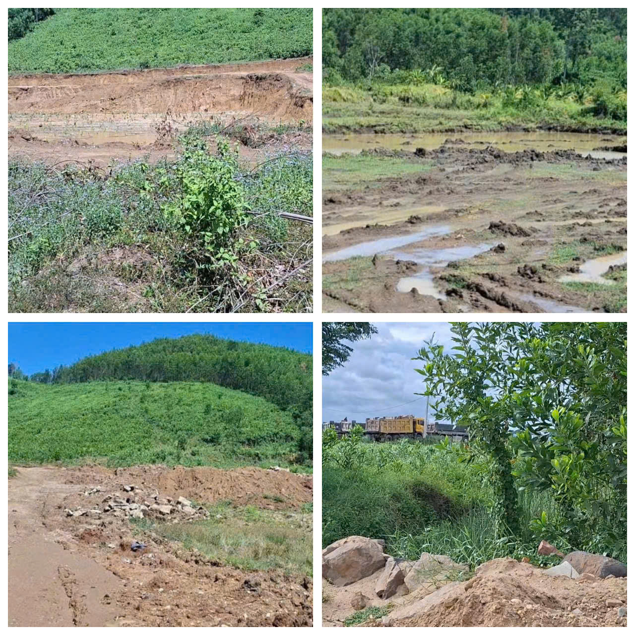 Z6836977321925 3532387a5e6c2e096ef6245c8e308469