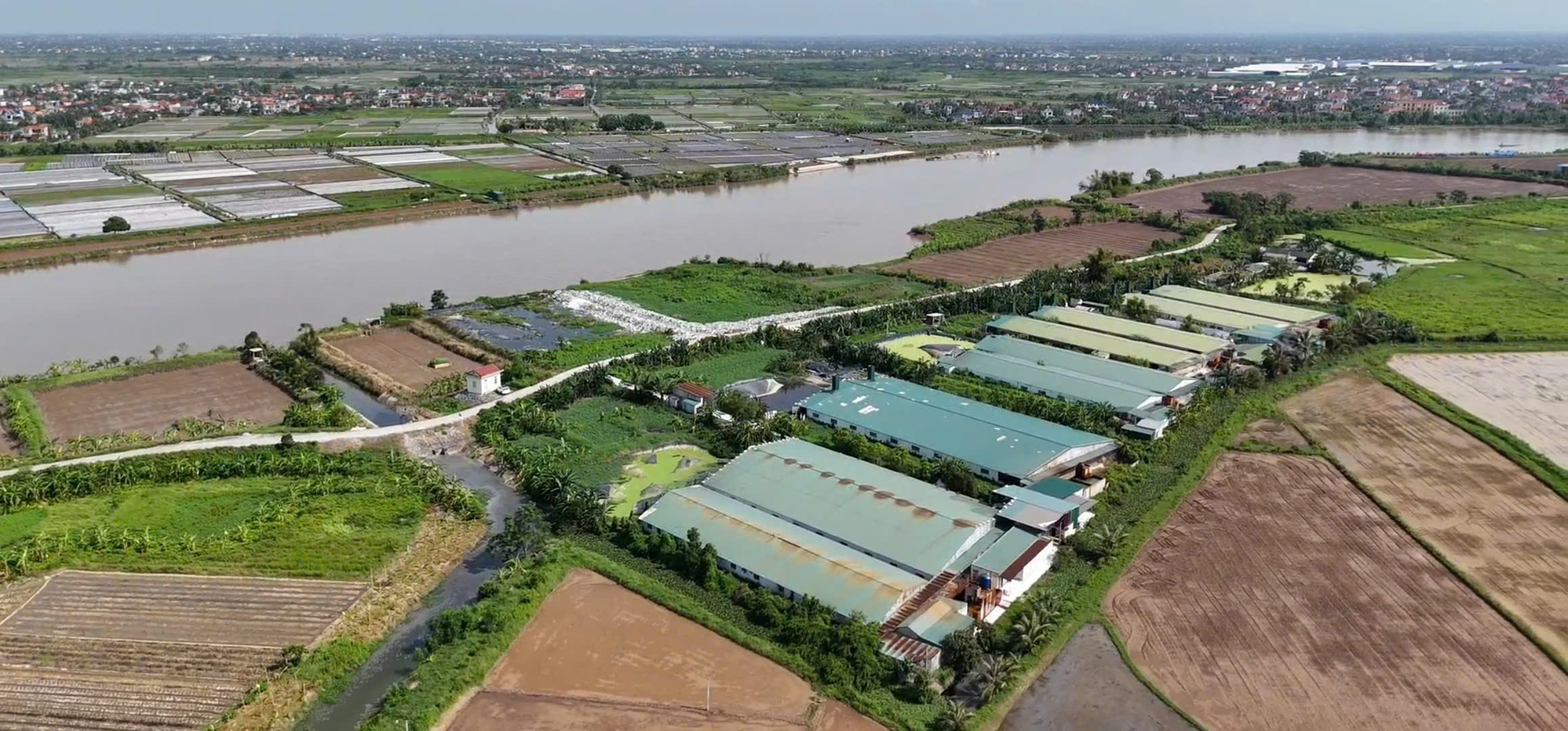 Z6864308582434 0881b08cb065c6c98db9abe522cb7342