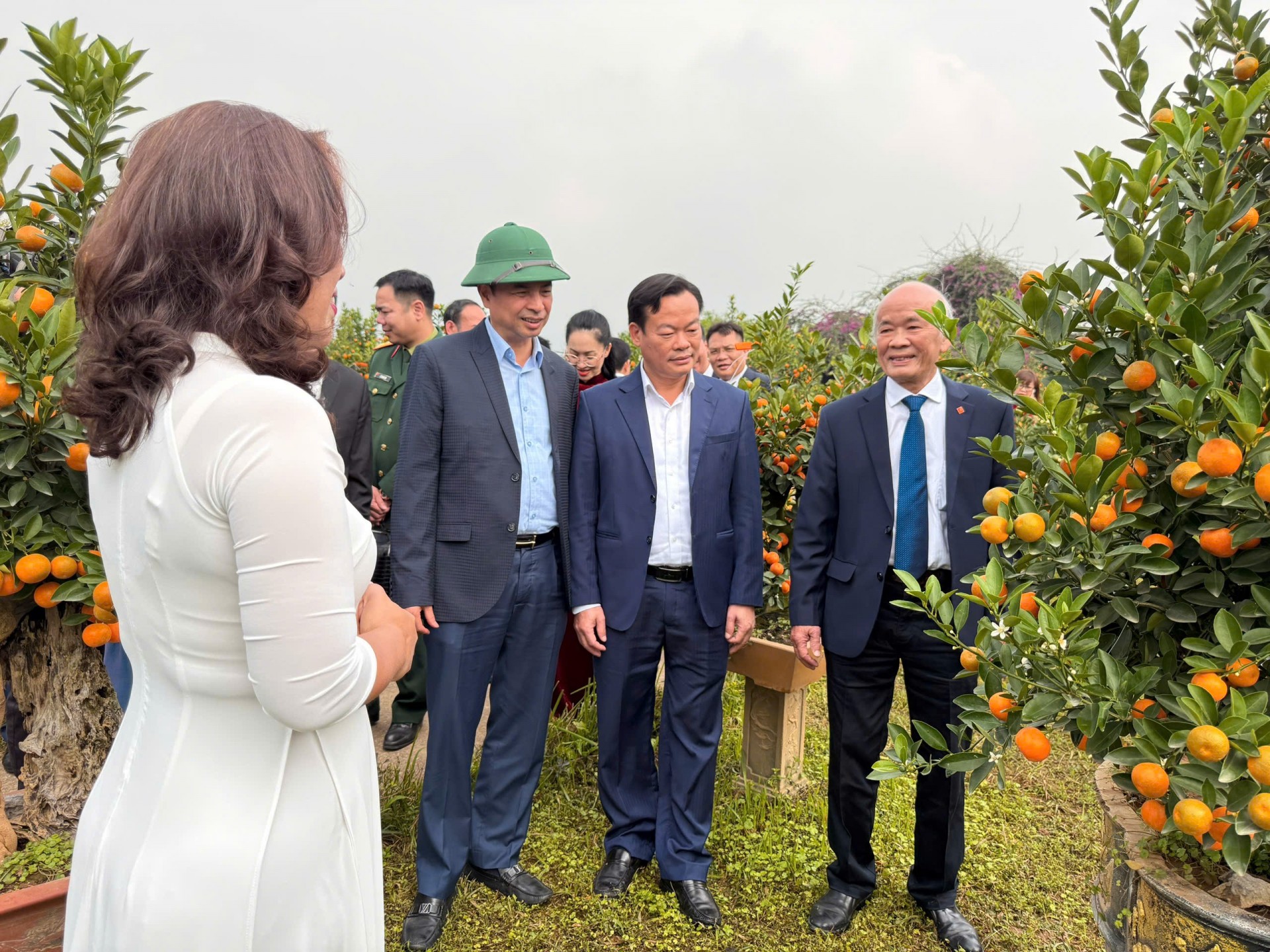 Tinh hoa nghệ thuật quất cảnh Tứ Liên – Gìn giữ truyền thống, lan tỏa giá trị làng nghề Thủ đô