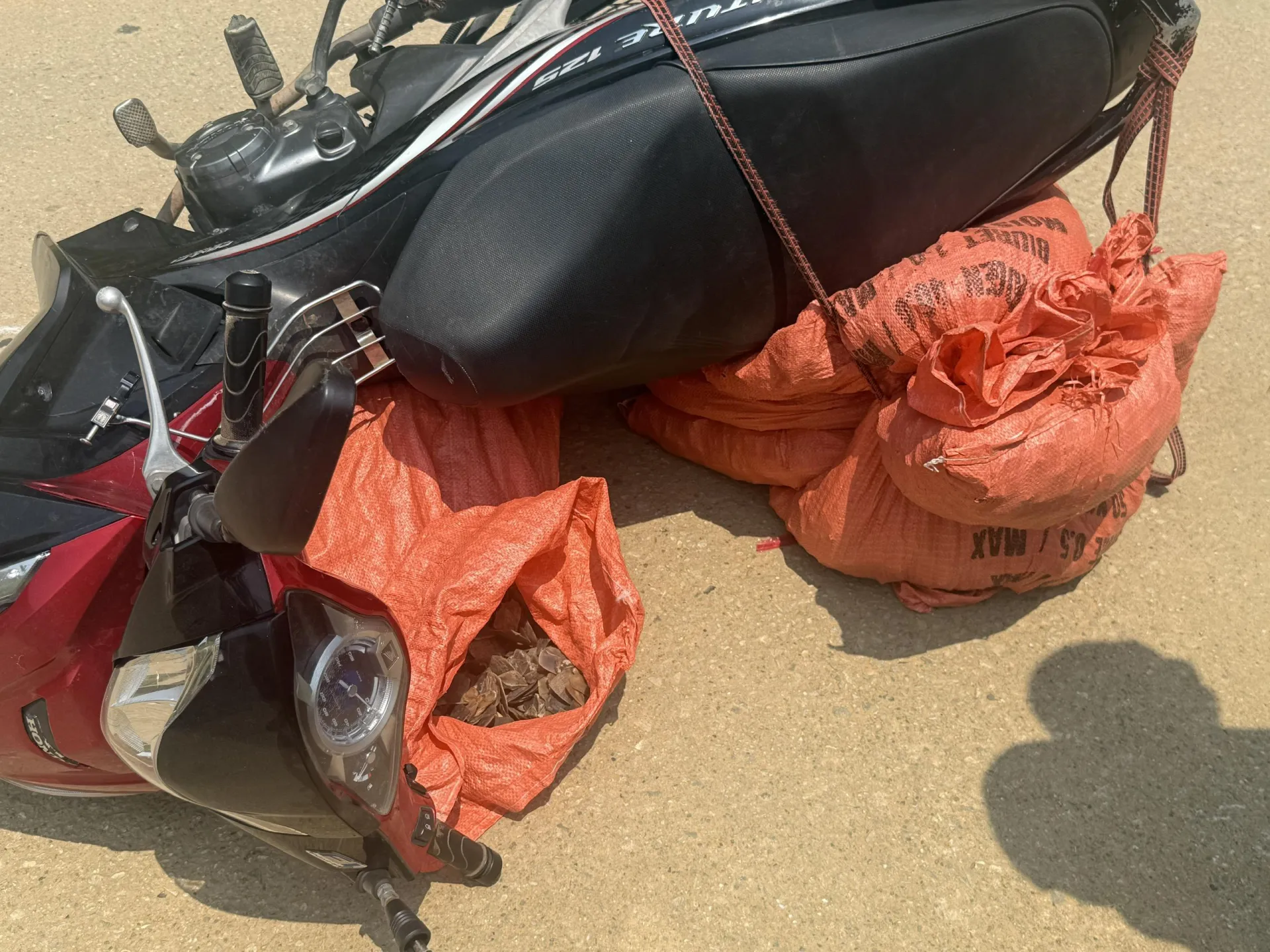 Cao Bằng: Thu giữ hơn 59,2kg vẩy nghi của tê tê - ảnh 1